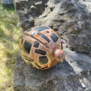 Kyber - Lady Bug