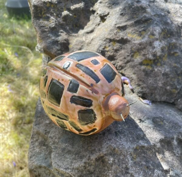 Kyber - Lady Bug