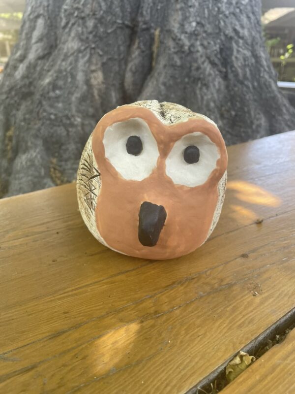 Gus - Owl